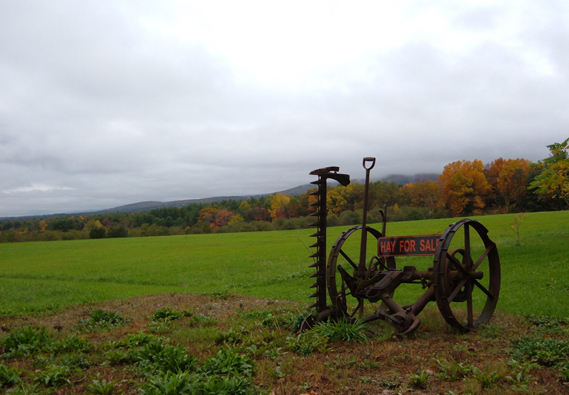Easthampton, MA farmland