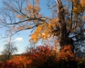 Park Hill Orchard, Easthampton, MA