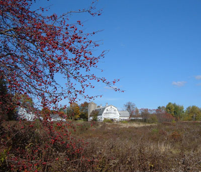 Echodale Farm, Fall 2007