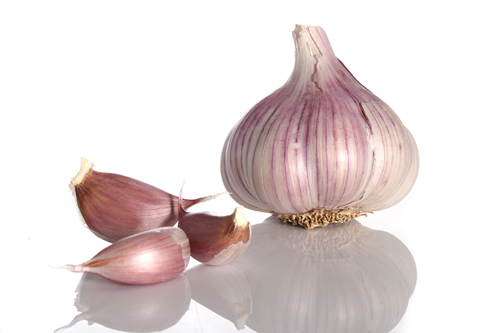 Purple garlic France